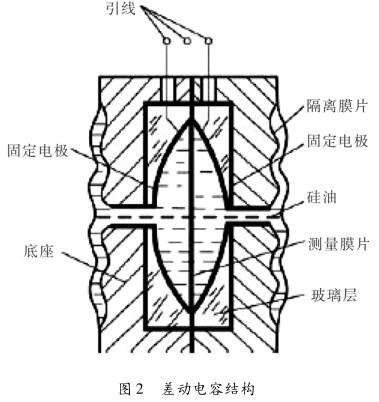 差压草莓色视频下载