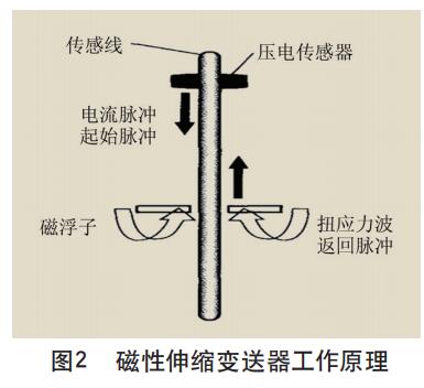 磁性伸缩草莓色视频下载工作原理